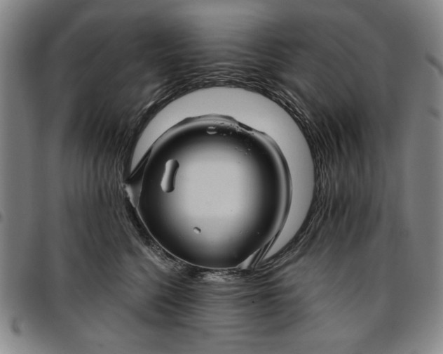 X0000096660568200802191309