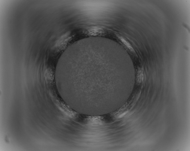 X0000096660569200802191309