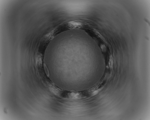 X0000096660570200802191309