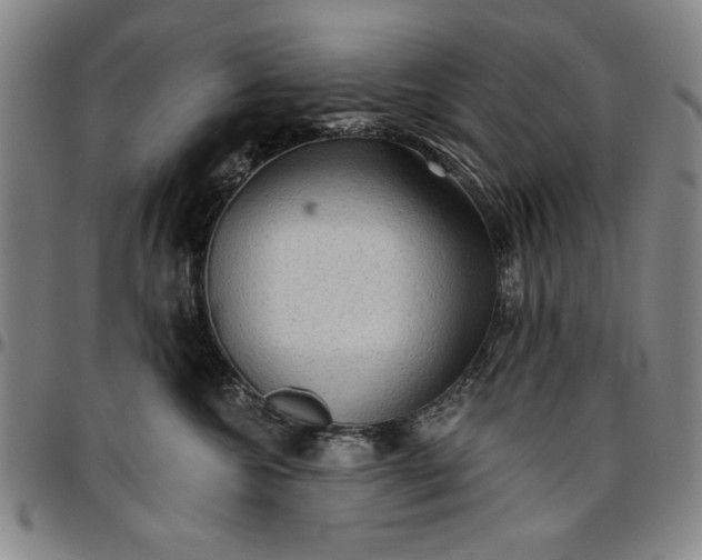 X0000096660572200802191309