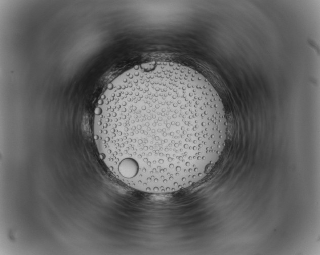 X0000096660573200802191309