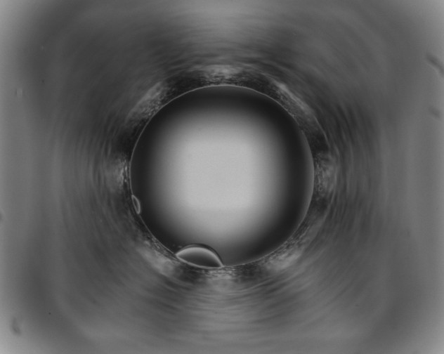 X0000096660574200802191309