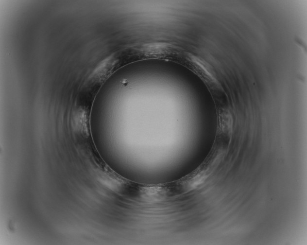 X0000096660575200802191309