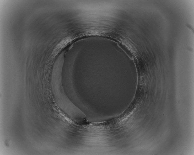 X0000096660577200802191309