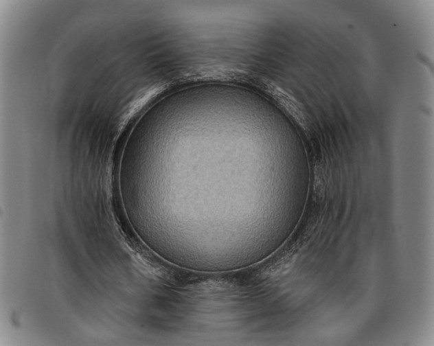 X0000096660578200802191309