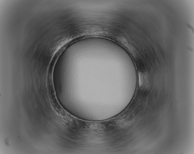 X0000096660579200802191309