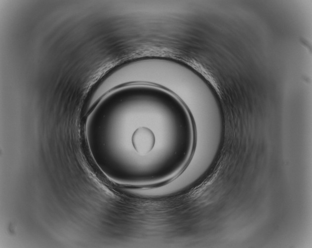 X0000096660581200802191309