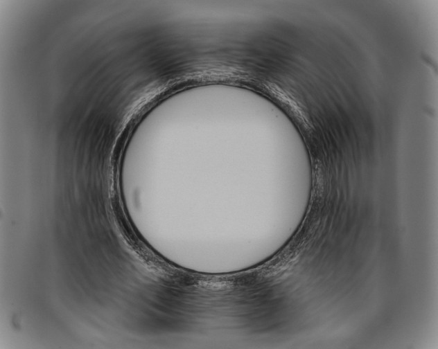 X0000096660582200802191309