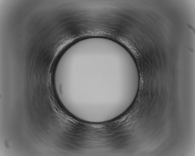 X0000096660583200802191309