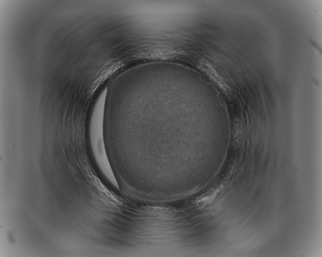 X0000096660585200802191309