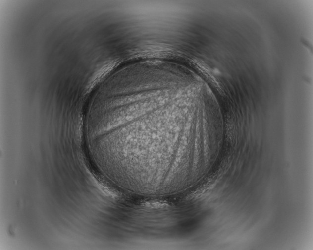 X0000096660586200802191309