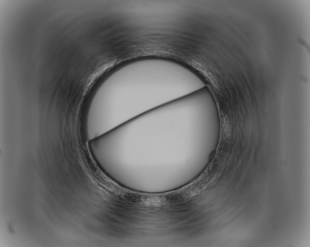 X0000096660587200802191309