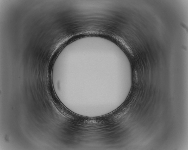 X0000096660588200802191309