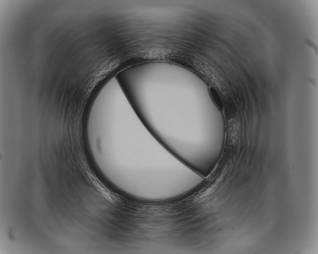 X0000096660589200802191309