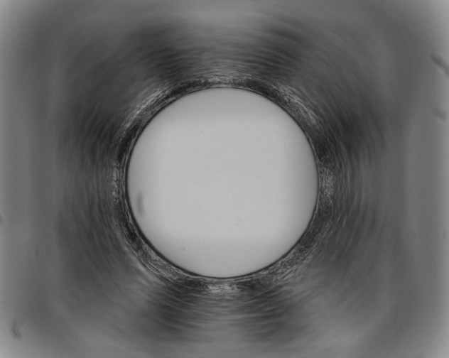 X0000096660591200802191308