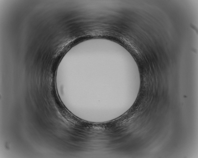 X0000096660592200802191308