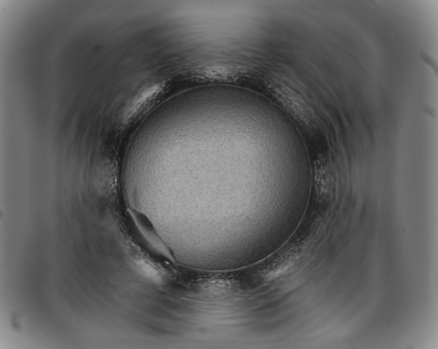 X0000096660593200802191308