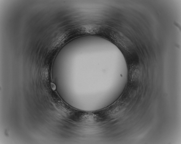 X0000096660595200802191308