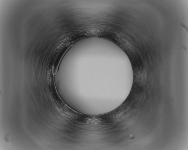 X0000096660599200802191308