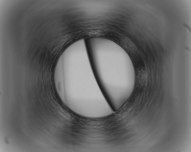 X0000096660601200802191308