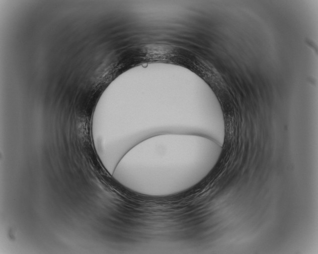 X0000096660603200802191308