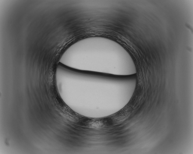 X0000096660604200802191308