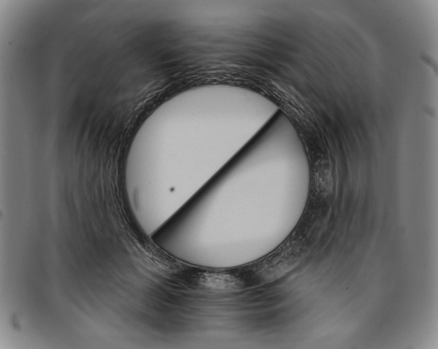 X0000096660605200802191308