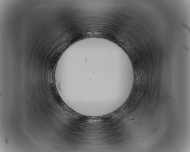 X0000096660606200802191308