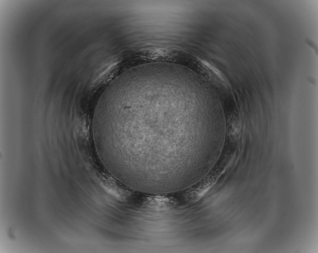 X0000096660607200802191308