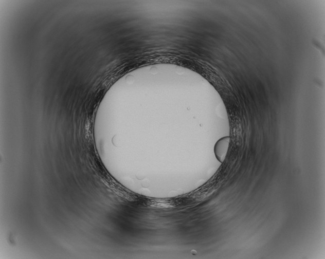 X0000096660610200802191308