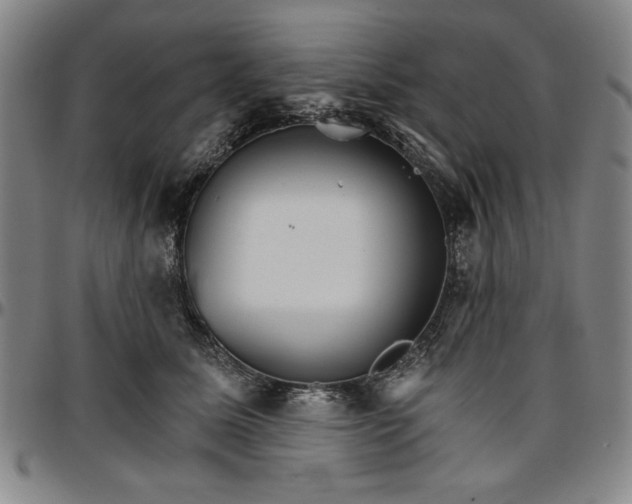 X0000096660611200802191308