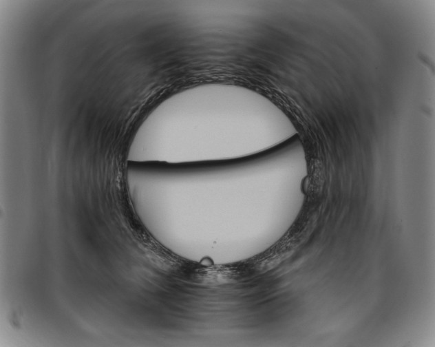 X0000096660612200802191308