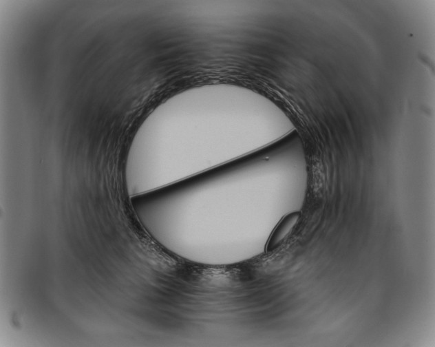 X0000096660613200802191308