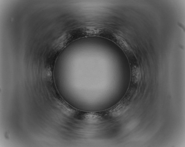 X0000096660614200802191308