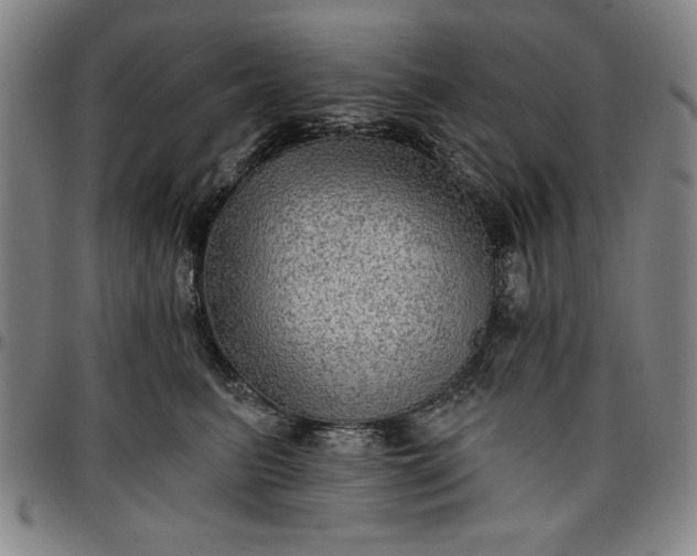 X0000096660615200802191308