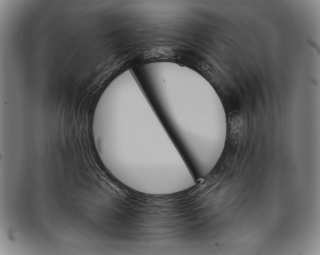 X0000096660617200802191308