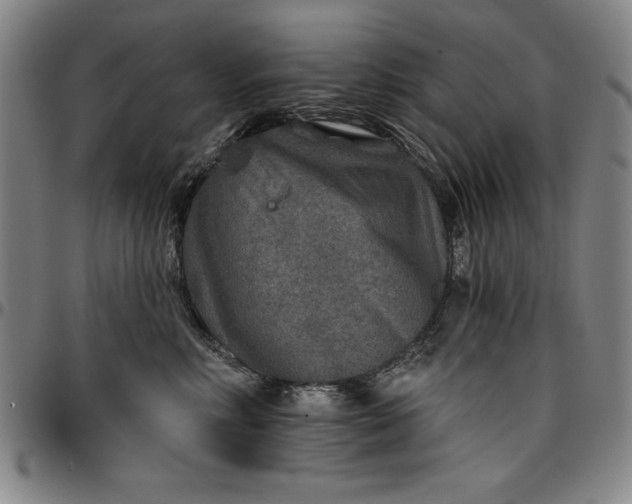 X0000096660618200802191308