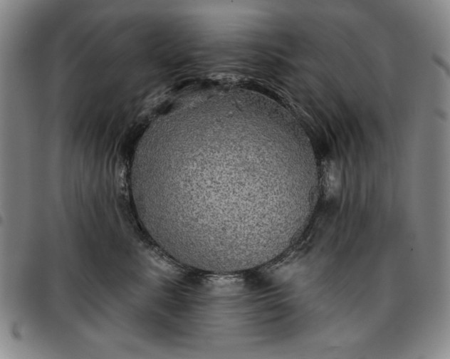 X0000096660619200802191308