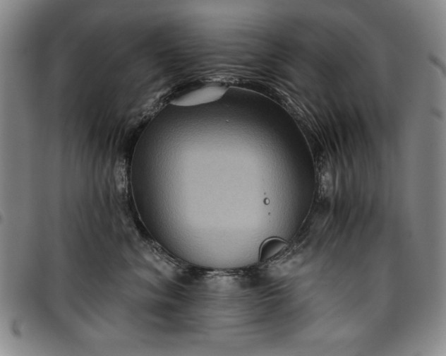 X0000096660620200802191308