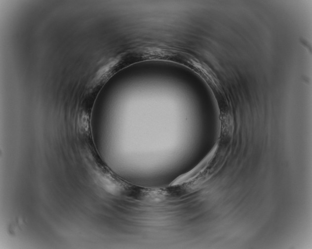 X0000096660621200802191308