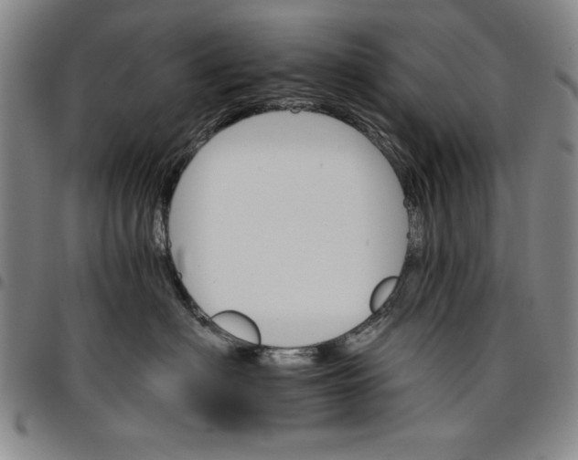 X0000096660622200802191308