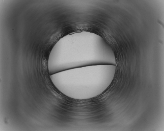 X0000096660623200802191308