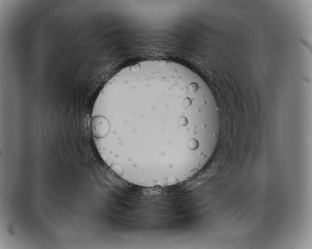 X0000096660624200802191308