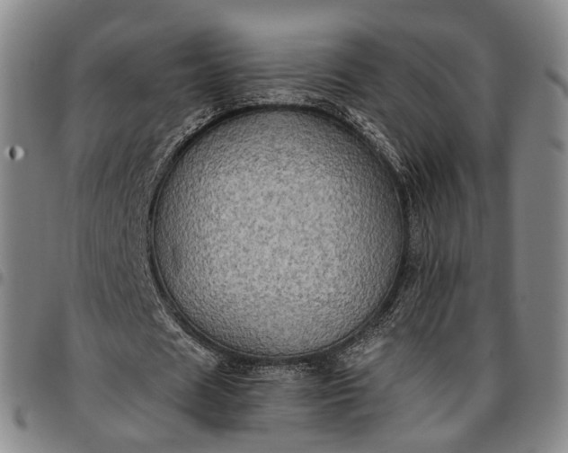 X0000096660625200802191307