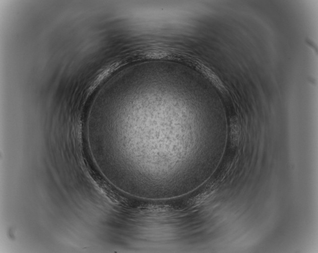 X0000096660626200802191307