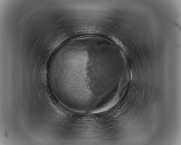 X0000096660627200802191307