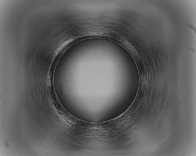 X0000096660628200802191307