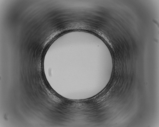 X0000096660629200802191307