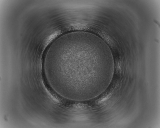 X0000096660630200802191307