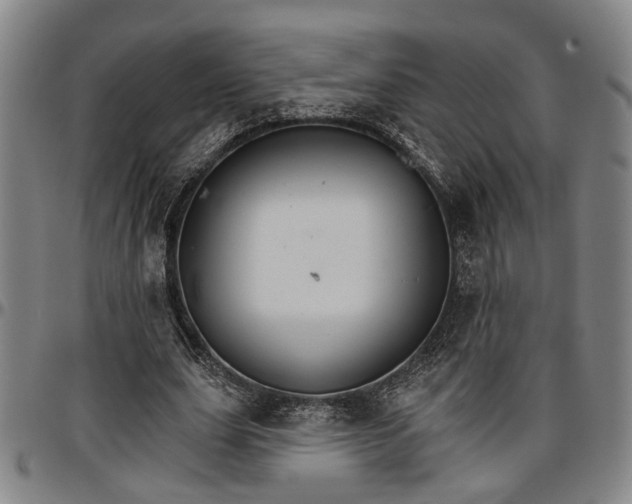 X0000096660631200802191307